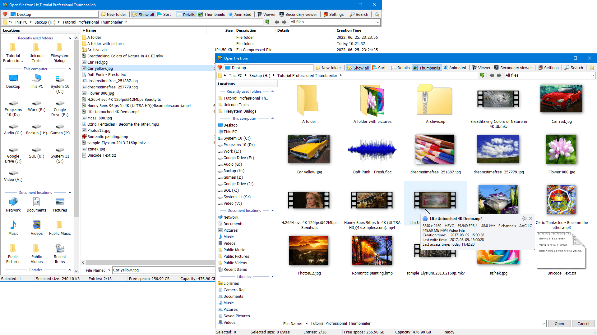 Delphi, C++, VB Filesystem Dialogs Library Enhanced open file dialog